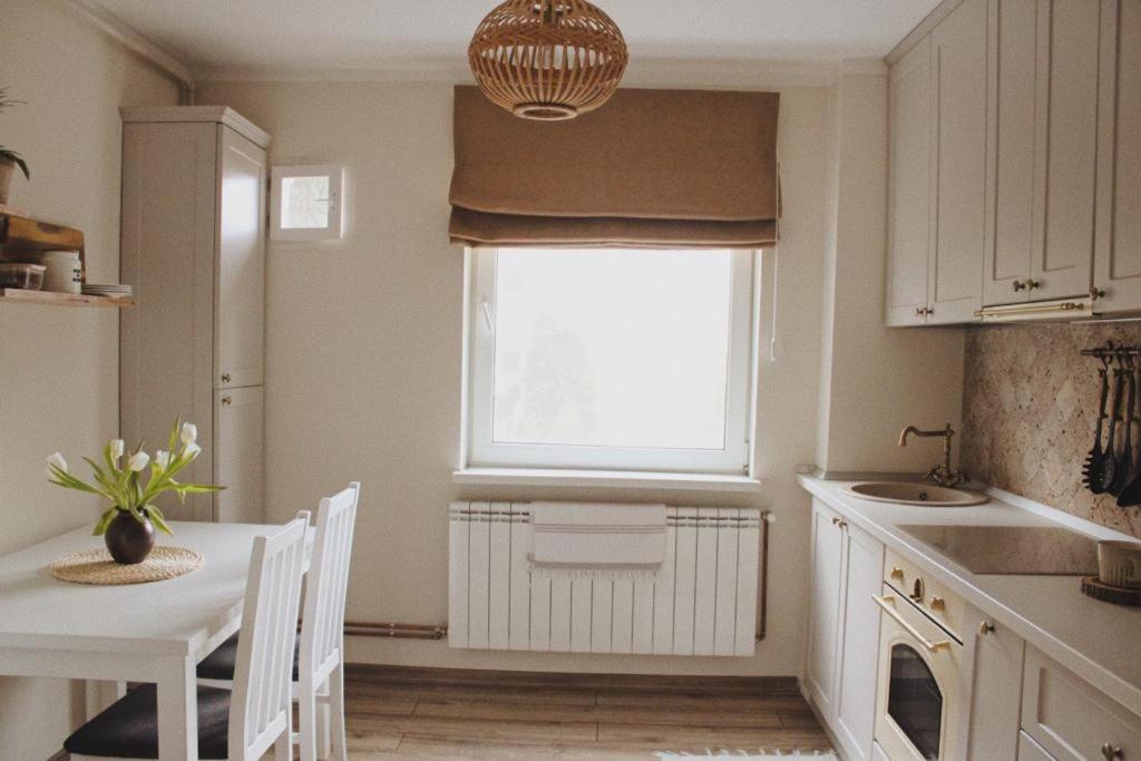 Cetate Boulevard Apartment Alba Iulia Zewnętrze zdjęcie